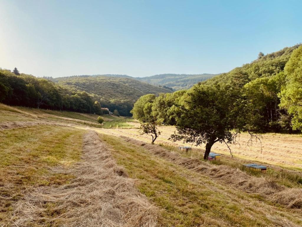 Nabat Le Haut, Chambre Et Table D'Hotes Courniou Exterior foto