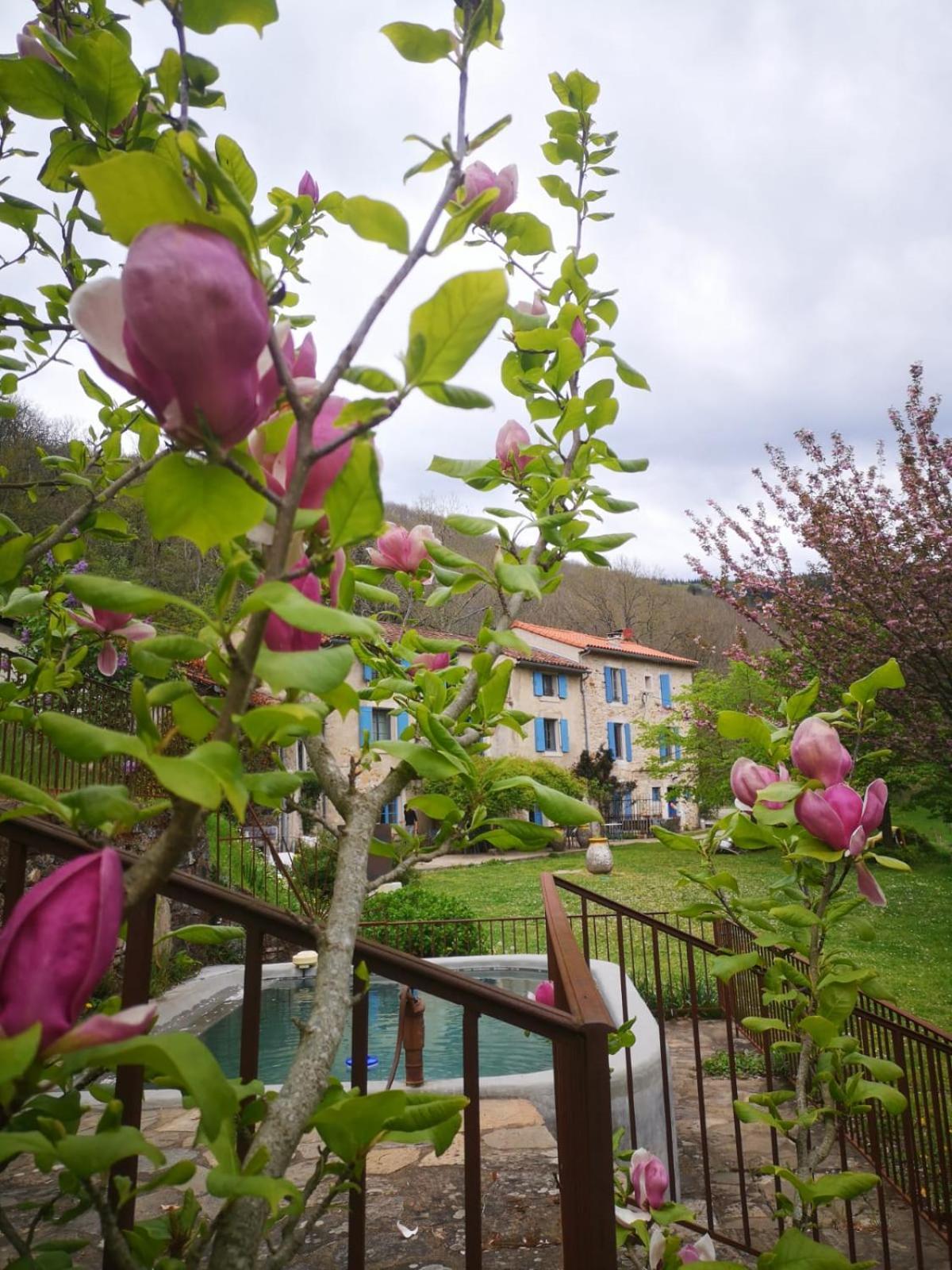 Nabat Le Haut, Chambre Et Table D'Hotes Courniou Exterior foto